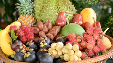 ชวนไปกู้สินเชื่อรวบรวมผลไม้