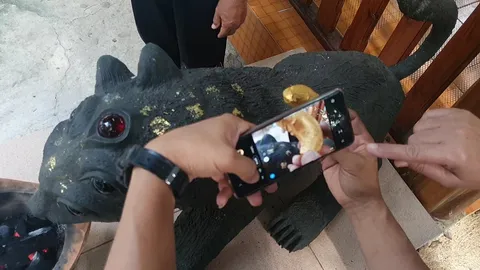 ชาวบ้านเผาถ่านไม้ เซ่นไหว้ "แมงสี่หูห้าตา" ได้เลขเด็ดสมใจโผล่ที่มูลทองคำ (คลิป)