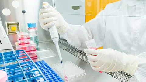 ค้นหาอายุที่เหมาะสมของเซลล์ต้นกำเนิด