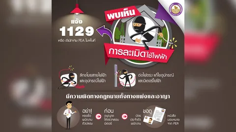 PEA เตือนละเมิดการใช้ไฟฟ้า อาจเสียค่าปรับและมีความผิดตามกฎหมาย