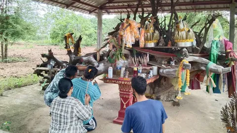 คอหวยส่องเลขเด็ด ตอตะเคียนเจ้าแม่ทับทิม คนขับรถสิบล้อฝันเห็นได้โชคนับแสน