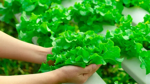 กลับบ้าน...คืนถิ่น พลังพลิกเศรษฐกิจ