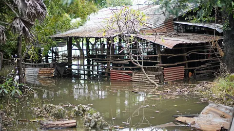 เตือนภัยโรคสัตว์เลี้ยงมากับฝนและน้ำท่วม