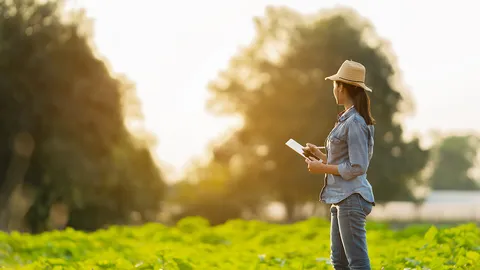 เปิด 3 โครงการเกษตรพาณิชย์ เพิ่มโอกาสสร้างรายได้ ผ่าน www.ช่วยเกษตร.com