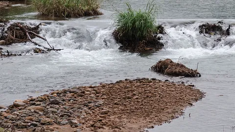 สานโครงการพ่อทำฝายชะลอน้ำ แก้ปัญหาภัยแล้ง-ไฟป่าอย่างยั่งยืน