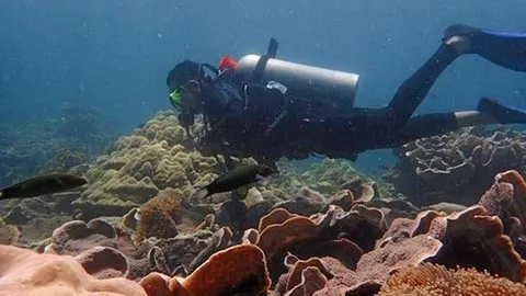 "ตะรุเตา" สวรรค์นักดำน้ำ