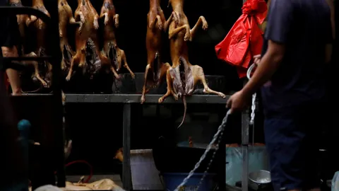 ไม่หวั่นโควิด เทศกาลกินเนื้อสุนัขจีนกลับมาแล้ว นักสิทธิสัตว์หวังจัดครั้งสุดท้าย