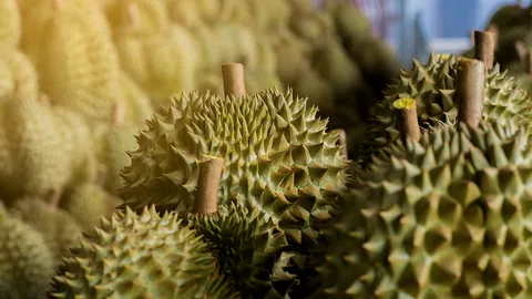 ฮ่องกงต่อแถวซื้อทุเรียนไทย