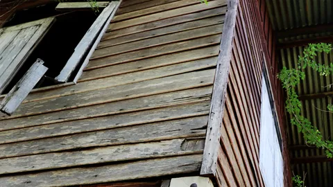 บ้านร้างวิญญาณหลอน 2 แม่ลูกตายไป 10 ปี แต่ยังวนเวียนจูงมือกันเดินรอบรั้ว