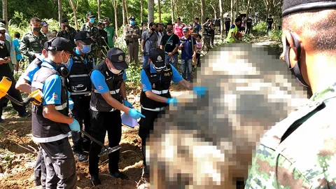 ยิงช้างป่า 