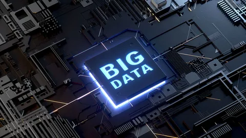 แจงบัญญัติ “บิ๊กดาต้า”- “ข้อมูลมหัต”