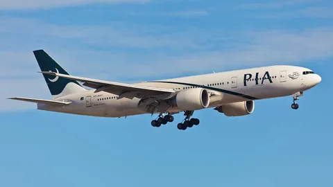 นักบินใบอนุญาตปลอม