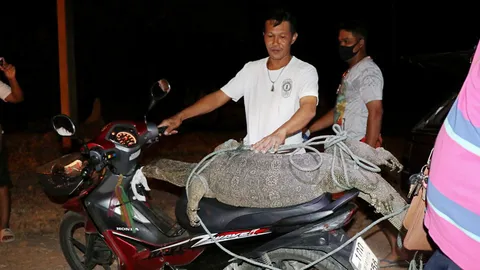 กู้ภัยอ่างทองแจงที่มาคลิป ตัวเหี้ยขี่จยย. ไปช่วยมาเลยเอาขึ้นรถไปปล่อย (คลิป)