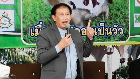 "ศูนย์ฯฮาลาล จุฬา" เตือน หลอกขายหมู ปลอมเป็นเนื้อวัว ระบาดแล้วทั่วไทย