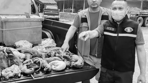 ตำรวจ ปทส.จับพ่อค้าลักลอบขนซากสัตว์ป่าคุ้มครอง ได้ของกลางอื้อ