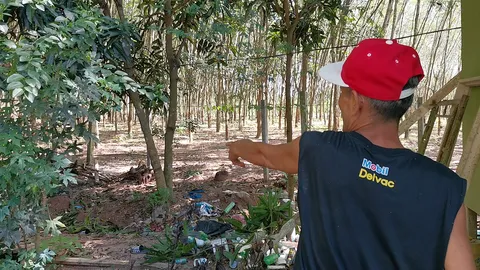 มดแดงเป็นเหตุ หนุ่มดวงกุด พลัดตกต้นไม้ รีบลุกหงายหลัง หัวฟาดบ่อปูนดับ