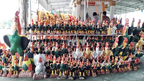 ขอพรแล้วสมหวัง คนแห่ถวาย "ตุ๊กตาไก่ชน" แก้บนศาลพ่อพระร่วง เรียงรายนับหมื่นตัว