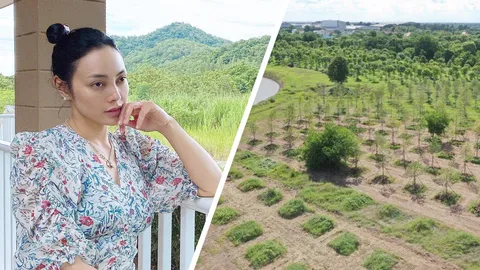 เปิดภาพไร่เบญจรงคกุลของ ตั๊ก บงกช-เจ้าสัวบุญชัย อาณาจักรสีเขียว 800 ไร่ 