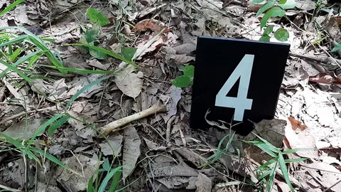 จนท.พบกระดูกกระจายริมคูน้ำในสวนผลไม้ คาดของ "น้องกานต์" ส่งไปตรวจยืนยัน