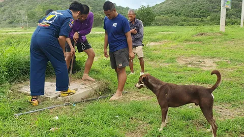 หมาจรหนีเจ้าถิ่นติดท่อ ร้องขอคนช่วย "เจ้ากาแฟ" เพื่อนสนิทรอเฝ้าไม่ห่าง