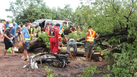 แม่ค้าไส้กรอกถึงฆาต หลบฝนใต้ต้นมะขาม ลมพัดหักทับร่างตายคา จยย.พ่วงข้าง