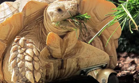 โลกาภิวัตน์ 25/07/54