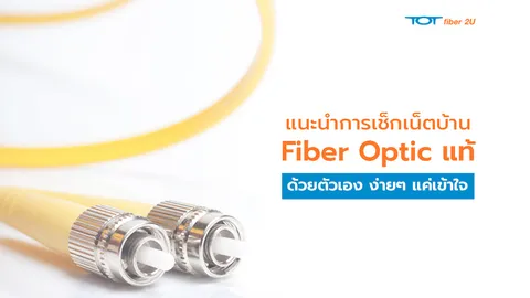 ทีโอที แนะนำการเช็กเน็ตบ้าน Fiber Optic แท้ด้วยตัวเอง ง่ายๆ