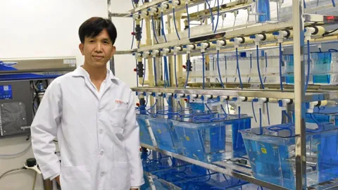 ตัวอ่อนปลาม้าลาย ทดสอบพิษ-ฤทธิ์ยา