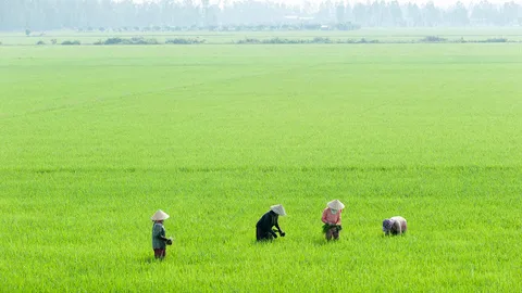 กรุงเทพฯทำนาปีละ3ครั้ง กทม.สำรวจที่เตรียมทำทำนบกั้นน้ำช่วงน้ำแล้ง 16 จุด