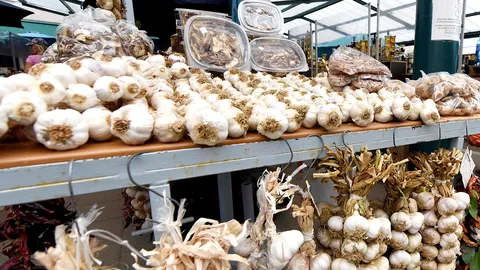 วิธีสู้กับความหนาวเย็นและไข้หวัดใหญ่