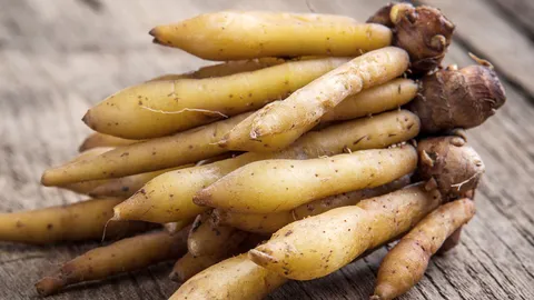 ประโยชน์และสรรพคุณของ "กระชาย" ที่มากกว่าต้าน "โควิด-19"