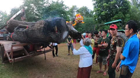 อัญเชิญตะเคียนคู่พันปีขึ้นจากน้ำ เผยท่านปู่ย่าเข้าฝันชาวบ้านขอให้ช่วย