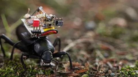 สุดเจ๋ง! สหรัฐฯ พัฒนากล้องโกโปรจิ๋วสะพายหลังตัวด้วงสำรวจได้ทุกซอกมุม