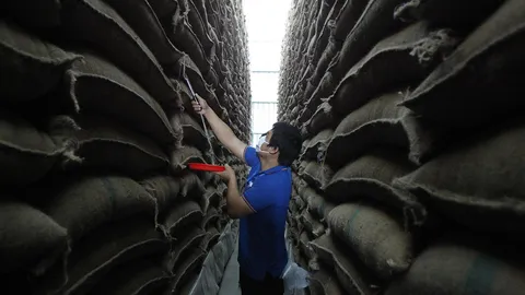 ลดเป้าส่งออก 1 ล้านตัน! นบข.เคาะประกันรายได้ปลูกข้าวปี 63/64