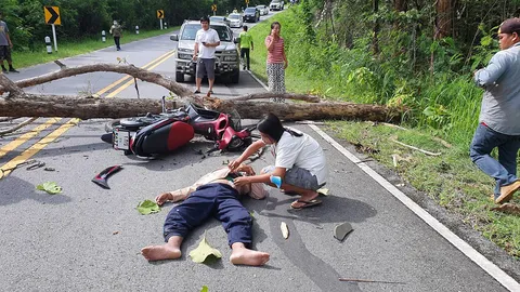 หนุ่มน่านสุดซวย ขี่ จยย.ไปหาหมอ เจอต้นสักหักล้มทับแขนขาหักเจ็บสาหัส