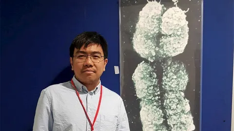 ดีเอ็นเอปลากัดมหาชัย