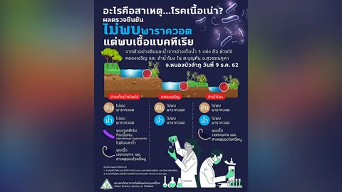 เนื้อเน่าไม่เกี่ยวพาราควอต