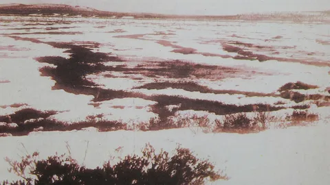 112 ปี อุกกาบาตถล่ม "ทังกัสกา" 24 ก.ค. ดาวเคราะห์น้อยเฉียดโลก ใกล้ไทย 1 ทุ่ม