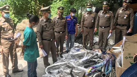 ท่อดัดแปลง 