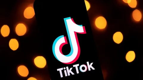 TikTok เล็งหาผู้ร่วมทุนเพิ่ม หวังเลี่ยงปมขัดแย้งระหว่างประเทศ
