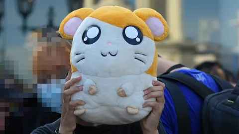 หนูแฮมทาโร่วิ่ง 