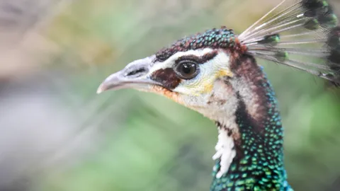 เที่ยวชัยนาท 2 วัน 1 คืน ไม่ได้มีแค่สวนนกและเขื่อนเจ้าพระยา