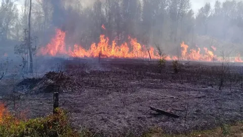 The fire burnt itself out.