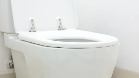 แม่กรี๊ดลั่น งูพุ่งจากชักโครกคอนโดฯ กัดก้นลูก 4 ขวบเจ็บ