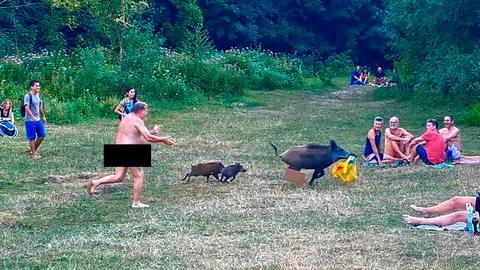 ลุงเรียกรอยยิ้ม วิ่งเปลือยไล่หมูป่าหลังถูกขโมยถุงคอมพิวเตอร์