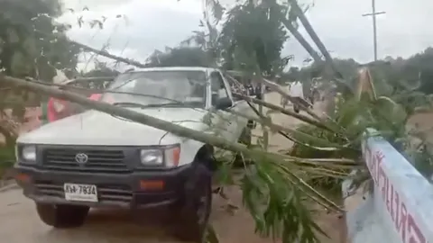 คลิปนาทีเฉียดตาย กอไผ่ไหลมาตามน้ำ หวิดเสียบร่างเจ้าหน้าที่ช่วยน้ำท่วม