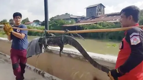 ชาวบ้านลุ้นภารกิจช่วย "ตัวเงินตัวทอง" ติดรั้ว ไม่พลาดนำเลขที่บ้านเสี่ยงโชค