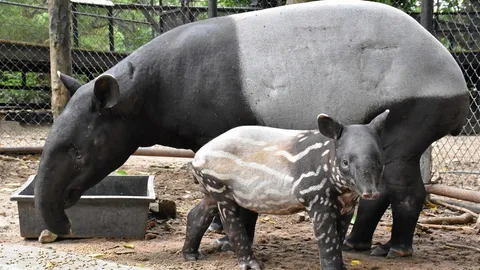 สมาชิกใหม่