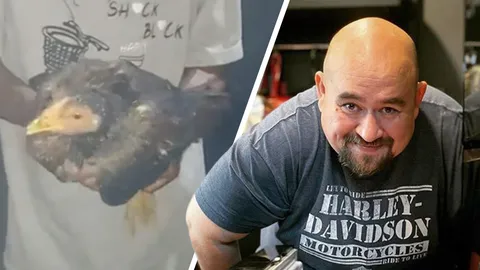 หม่อมถนัดแดก เผยคลิปยืนยัน "ไก่ฝังดิน" ยังไม่ตาย ใช้เป็นตัวแสดงแค่ 5 นาที