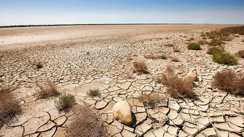 ตัวอย่างคำศัพท์สิ่งแวดล้อม